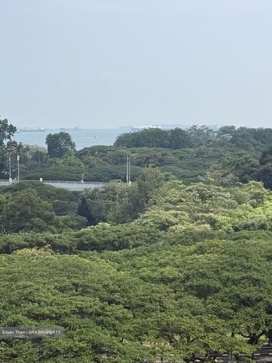 Bayshore Park (D16), Condominium #604900021